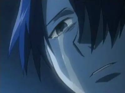Don't Cry, for the Snow will Surely Melt