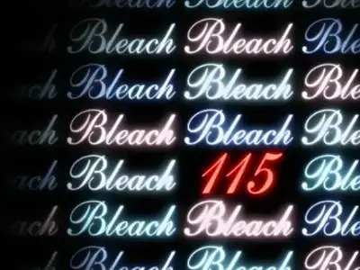 Mission! The Soul Reapers Have Come