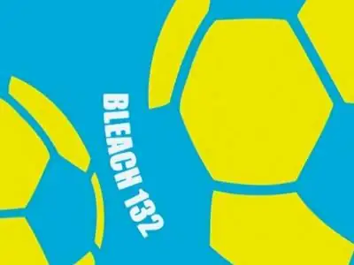 Hitsugaya, Karin, and Soccer Ball