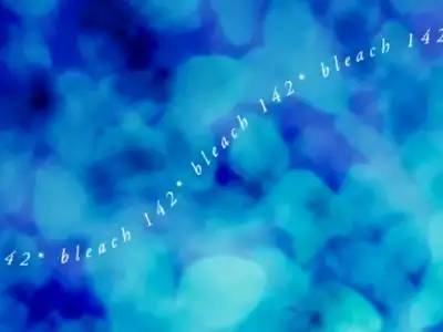 Strict Order! The Forbidden Rescue of Orihime Inoue