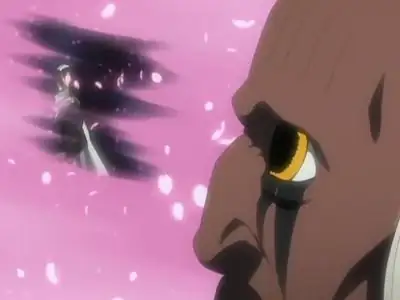 Byakuya's Bankai, The Quiet Anger