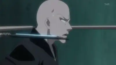 Sui-Feng, Surrounding the Zanpakuto