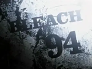 Hitsugaya's Decision! The Clash Approaches