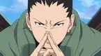 Formation! New Team Kakashi!